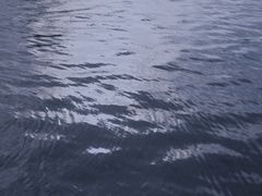 -映月湖中央公园