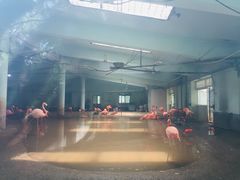 -石家庄市动物园