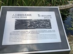 -活水公园