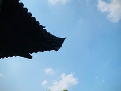 -大唐贡茶院