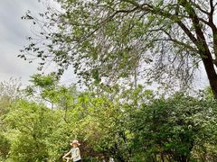 -北运河水利风景区