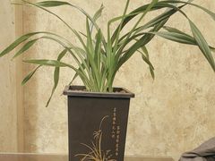 -上海精菜馆(虎踞关店)