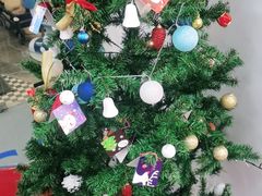 -斯坦星球AI编程·机器人科创·科学实验·信奥·思维·STEM·乐高·竞赛考级(长宁虹桥大融城荟聚中心)