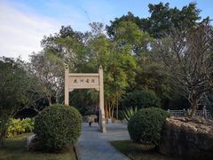 -晓港公园