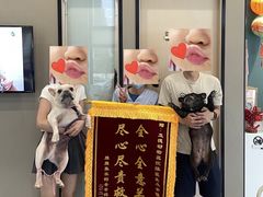 -立德动物医院·重症转诊·24H夜诊·CT·心脏彩超(顺德中心分院)
