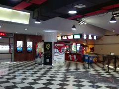 -华美国际影城(旧宫永辉店)