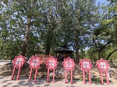 -廊坊市自然公园