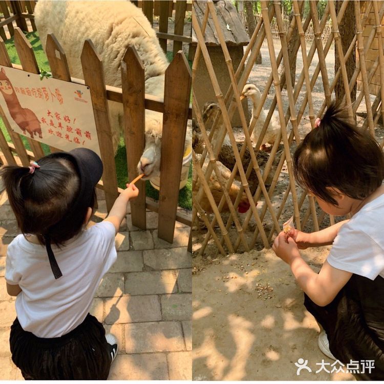 乐ZOO亲子游必去，北京周末娃放电好去处！