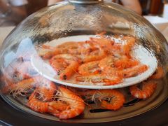 -港畔赶海蒸汽海鲜烧烤自助(仙螺岛店)