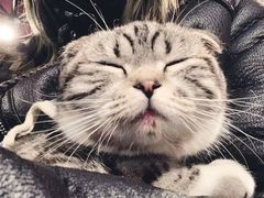 -瑞派名望24h动物医院异宠专科·猫专科·骨科·重症监护分院