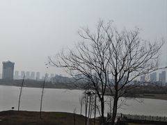 -九龙湖公园