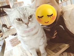 -小时光咖啡馆(开森度假森林店)