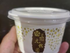 双皮奶-三元梅园(金源店)