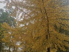 -辽宁大学(崇山校区)