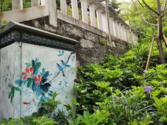 -乌山风景区