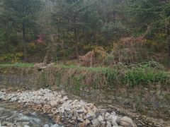 -秦岭终南山世界地质公园翠华山景区