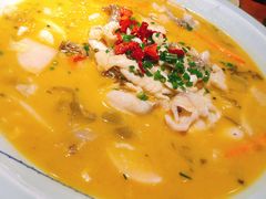 经典酸菜鱼-丁记盐蘸牛肉·新杭菜(河东路店)