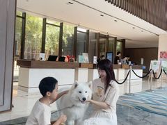 -上海崇明金茂凯悦酒店