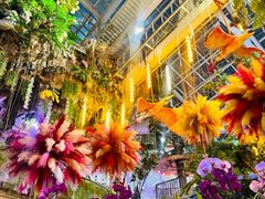 -正佳雨林生态植物园