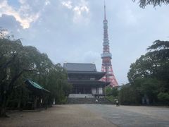-东京塔海贼王主题公园