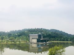 -东莞植物园