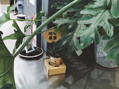 -Seesaw Coffee(上海国金中心店)