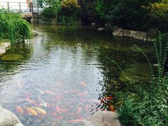 -苏州环球188国际公寓(金鸡湖店)