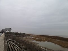 -南汇嘴观海公园