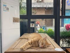 -随柳居·苏式小吃(建新巷店)