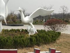 -盐城丹顶鹤湿地生态旅游区