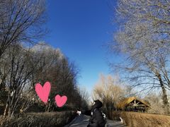 -青藏高原野生动物园