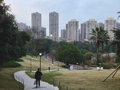 -龙头寺公园