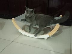 -萌兽医馆·犬猫专科·眼科中心·宠物医院(朝阳门分院)