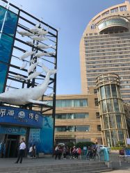 -星海水上乐园(星海广场圣亚店)