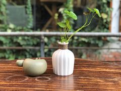 餐具摆设-谷咖啡·鲜花绿植花园餐厅