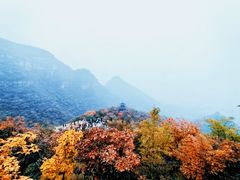 -狼牙山风景区