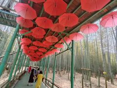 -陶祖圣境风景区