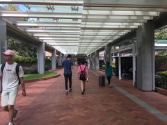 -香港大学
