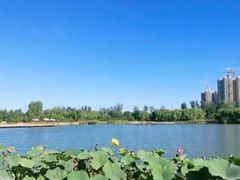 -燕郊植物园