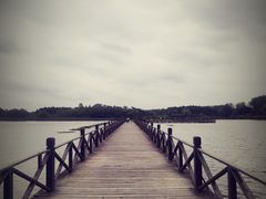 -溱湖国家湿地公园