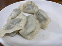 茴香猪肉-山东水饺(南坪新街店)