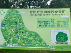 -合肥野生动物园