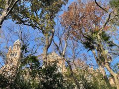 -上海佘山国家森林公园西佘山园