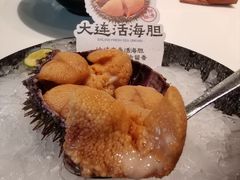 -鲜得莱渔港·小平岛海胆馆(七贤岭店)