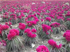 2013-09-06-526-百里山水画廊乌龙峡谷