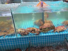 -蓝珊甄选海鲜自助·火锅大排档(近阿那亚店)