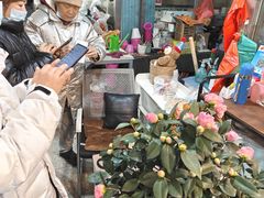 -宝鸡东道花鸟鱼虫市场(吉利花园商场店)