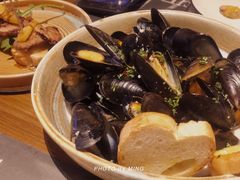 -造精酿餐厅