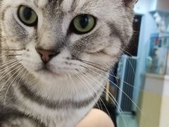 -猫爪屋猫咖(乐汇城店)