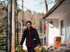 -午潮山国家森林公园